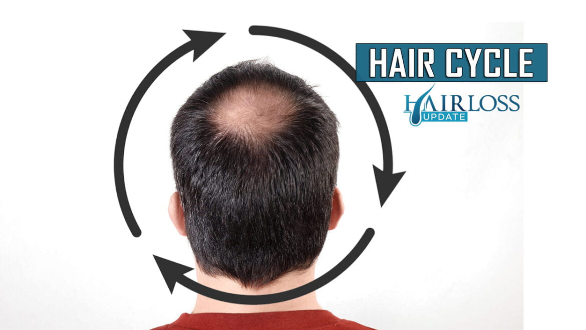 Normal Hair Growth Cycle to Cure Hair Loss